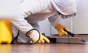 Best Real Estate Pest Inspections  in Stafford Springs, CT